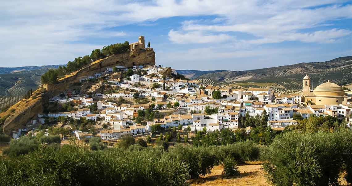 el papel de la oliva en la tradición mediterránea