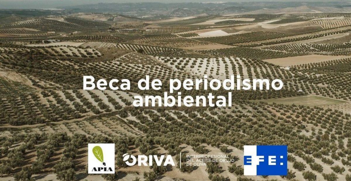 Beca-APIA-e1677686255597