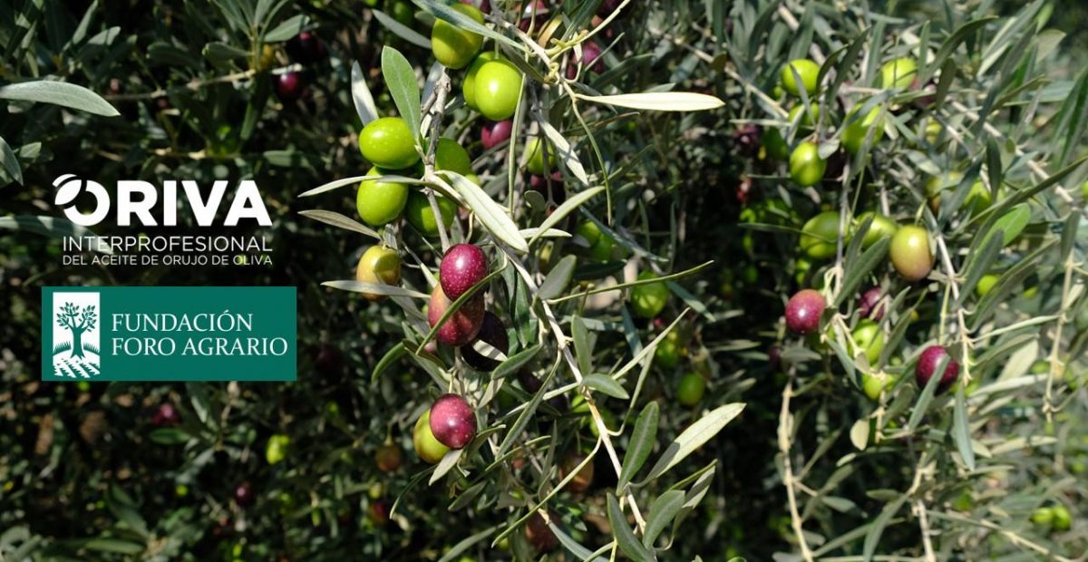 Colaboracion Foro Agrario