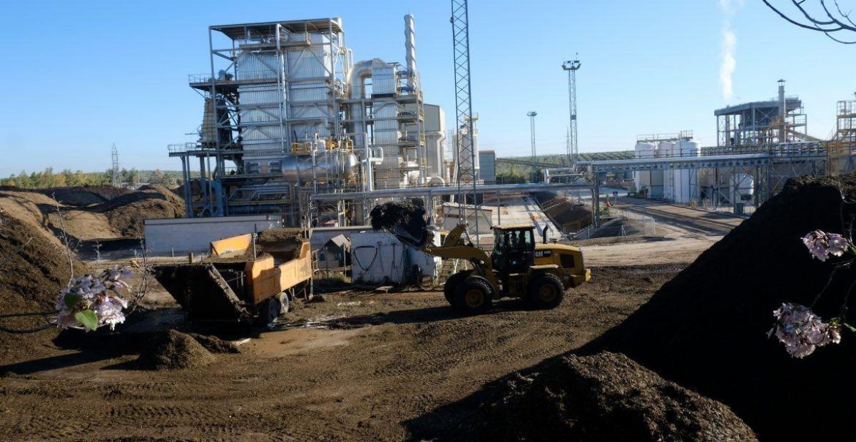 Sector-orujero-responde-crisis-1170x620-1