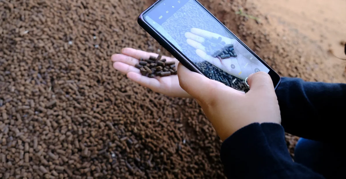 modelo de economía circular