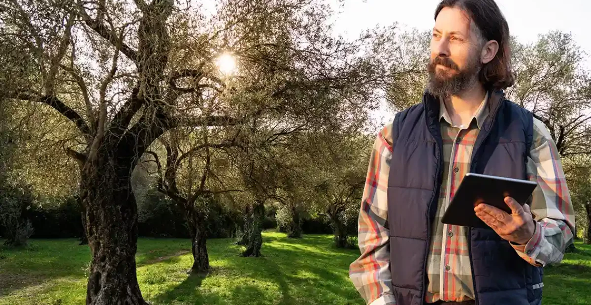 inteligencia-artificial-y-automatizacion-en-el-olivar-1