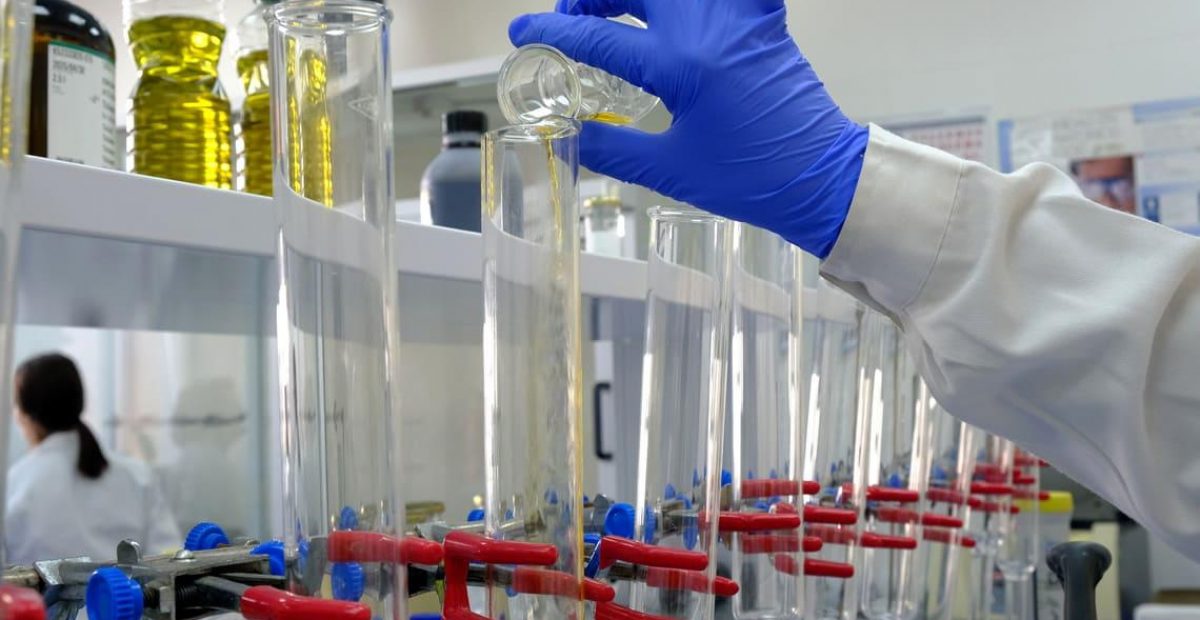 investigacion aceite orujo oliva csic